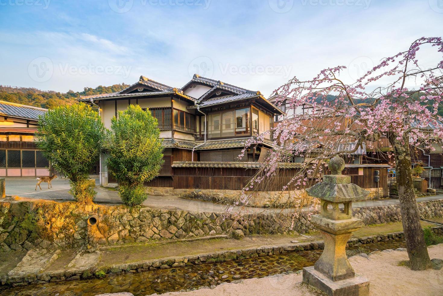 antiguo pueblo con sakura en miyajima foto
