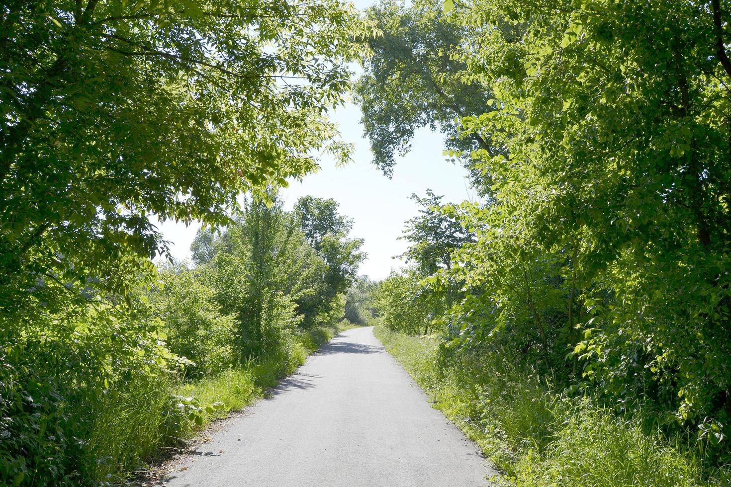 Beautiful empty asphalt road in countryside on colored background photo