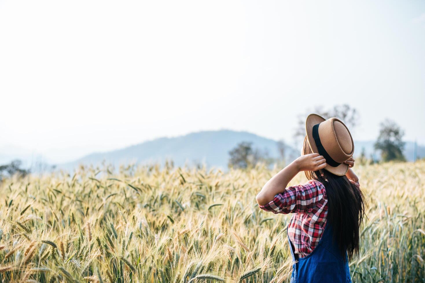 Woman farmer with barley field harvesting season photo