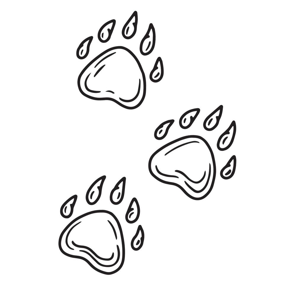 Bear paw prints, claw marks linear icon vector