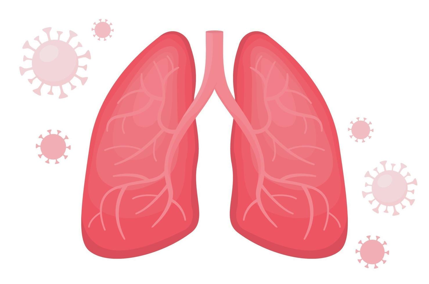 Healthy human lungs with viral pneumonia covid vector