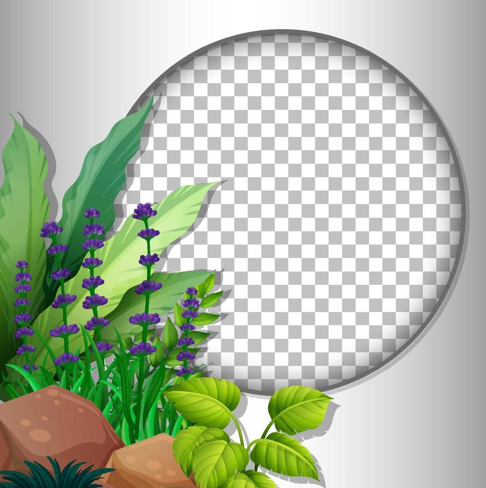 Round frame transparent with tropical leaves template vector