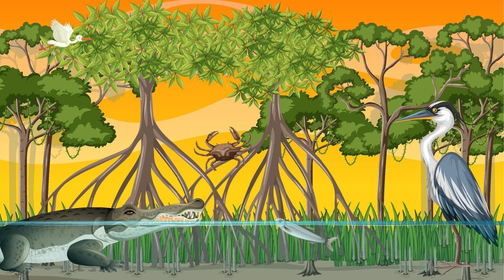 Animals live in Mangrove forest at sunset time scene vector