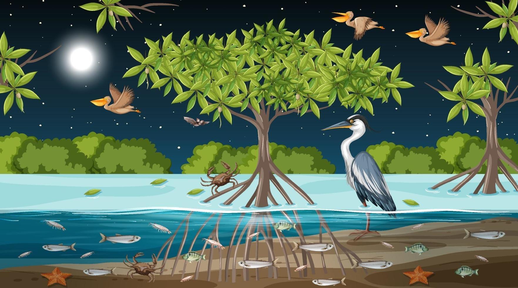 Escena del paisaje del bosque de manglares en la noche vector