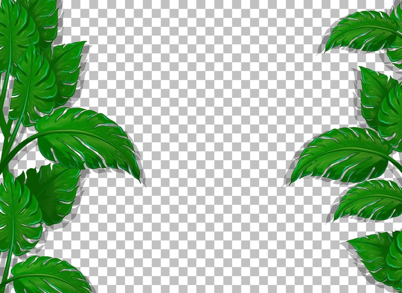 marco de varias hojas tropicales vector