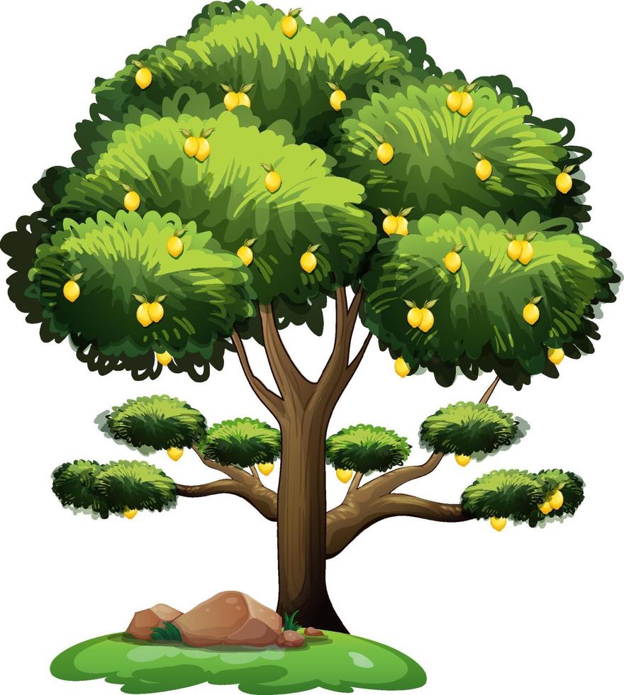Lemon tree in cartoon style isolated on white background vector