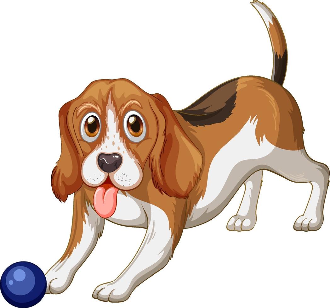 dibujos animados de perro beagle sobre fondo blanco vector