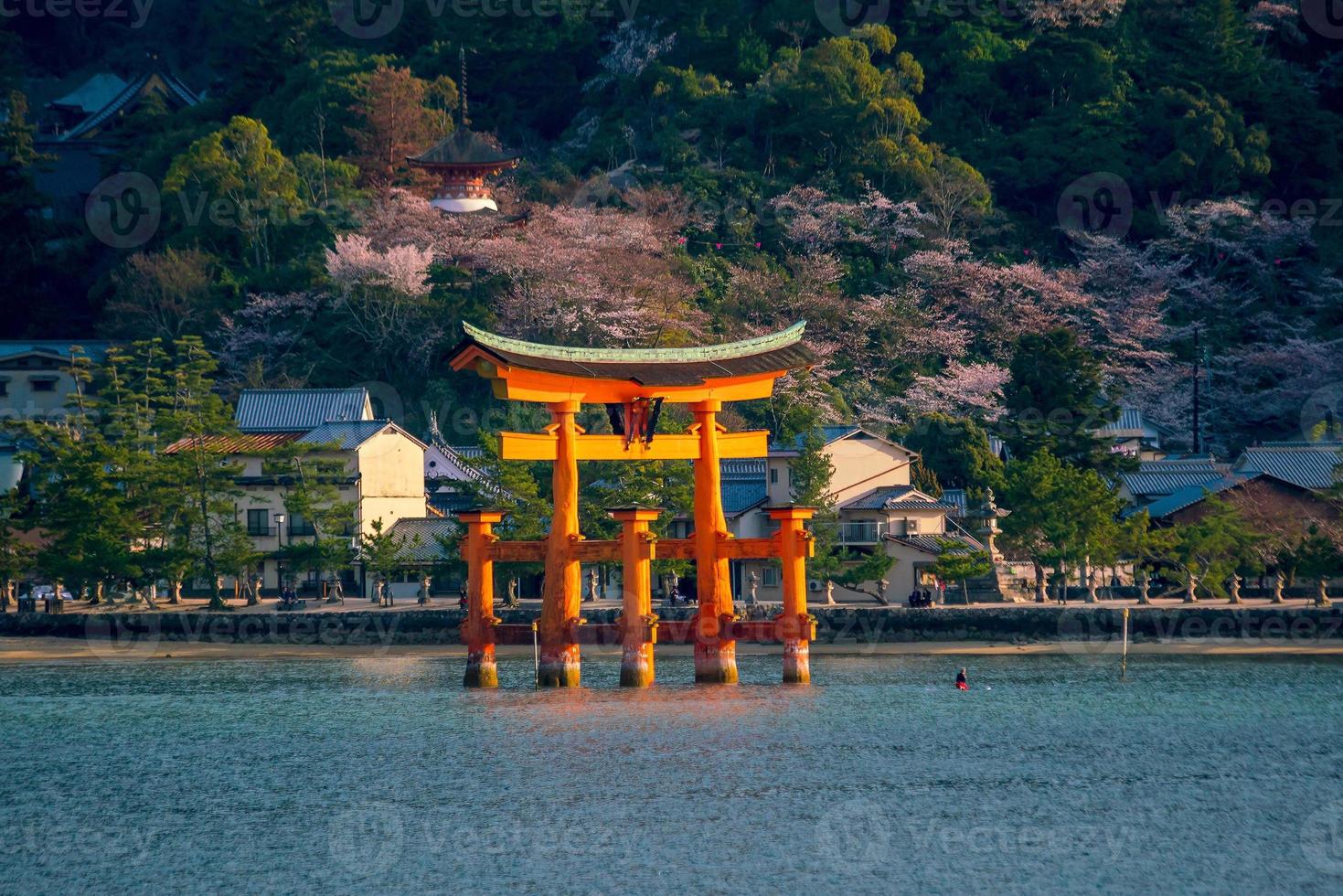 The floating gate of Itsukushima Shrine photo