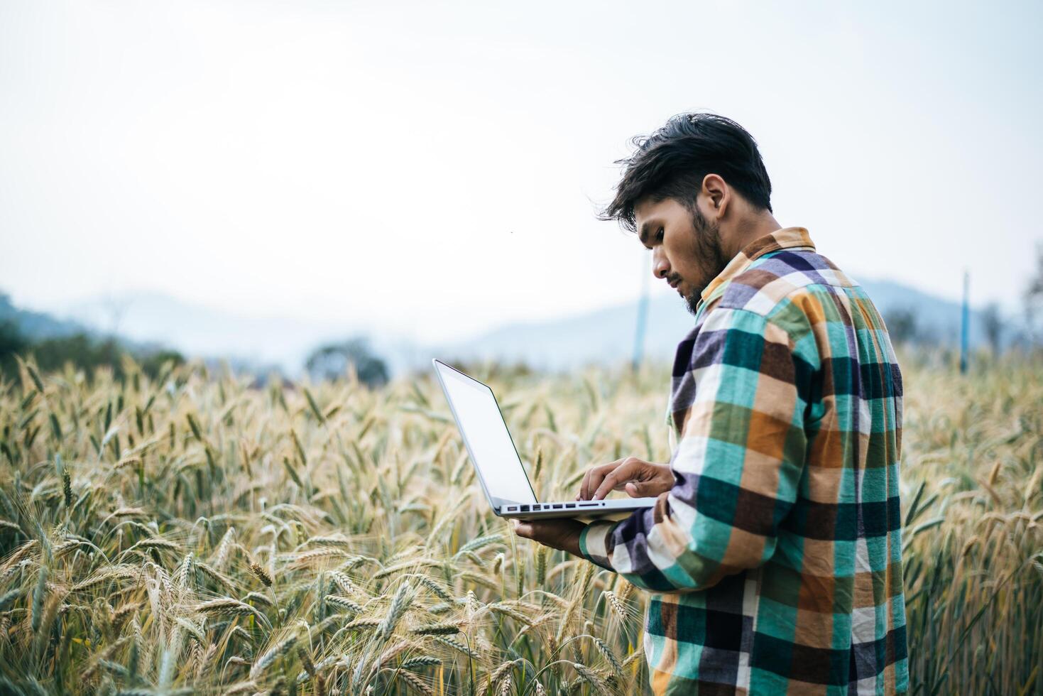 Smart farmer checking barley farm with laptop computer photo