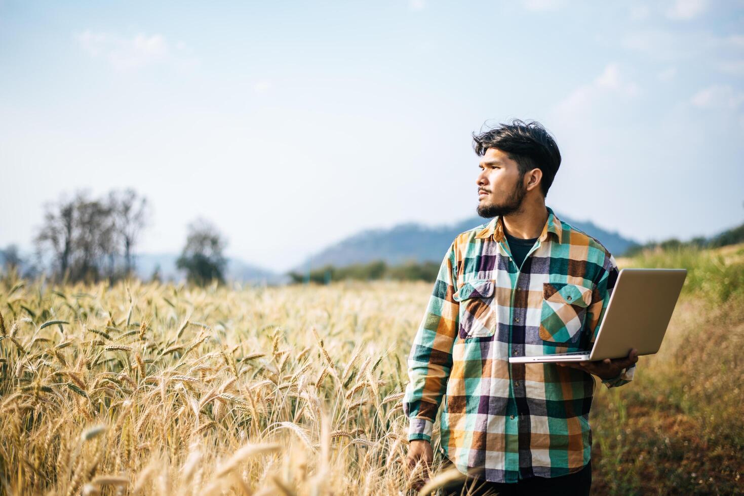 Smart farmer checking barley farm with laptop computer photo