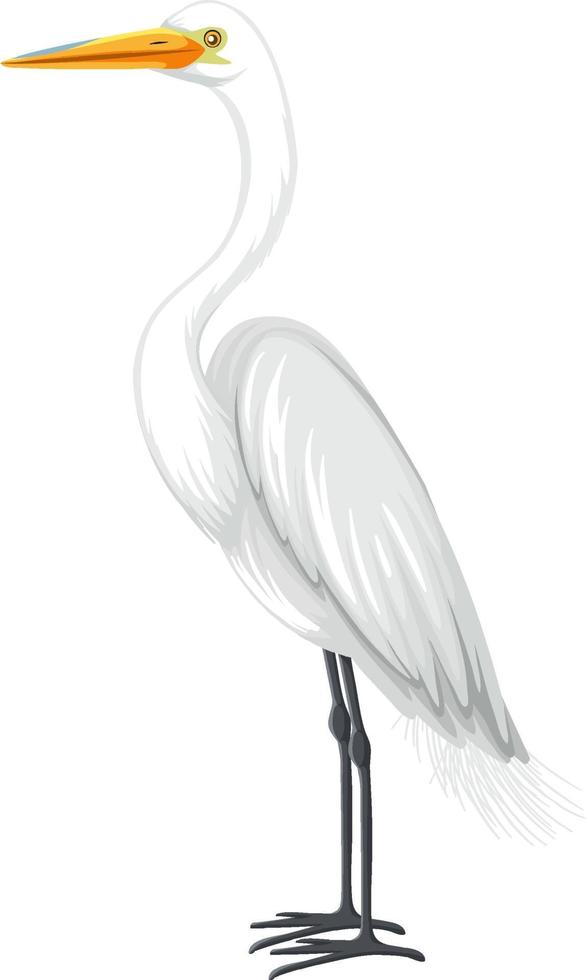 Great Egret in cartoon style on white background vector