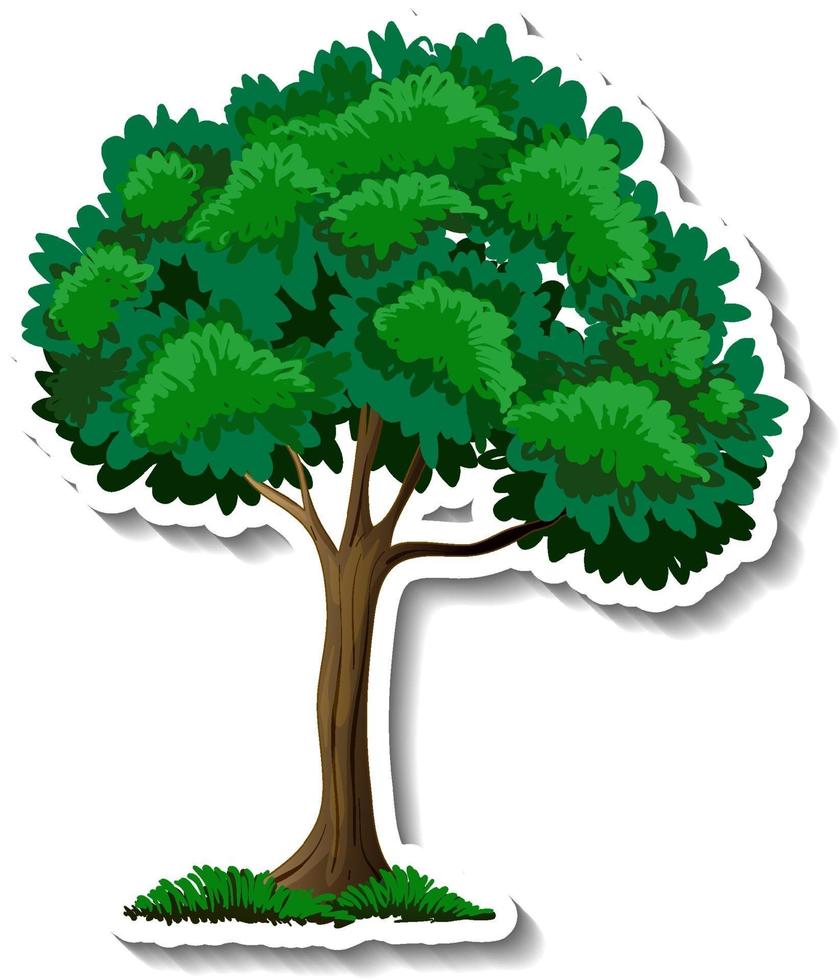 Un árbol con adhesivo de hojas verdes sobre fondo blanco. vector