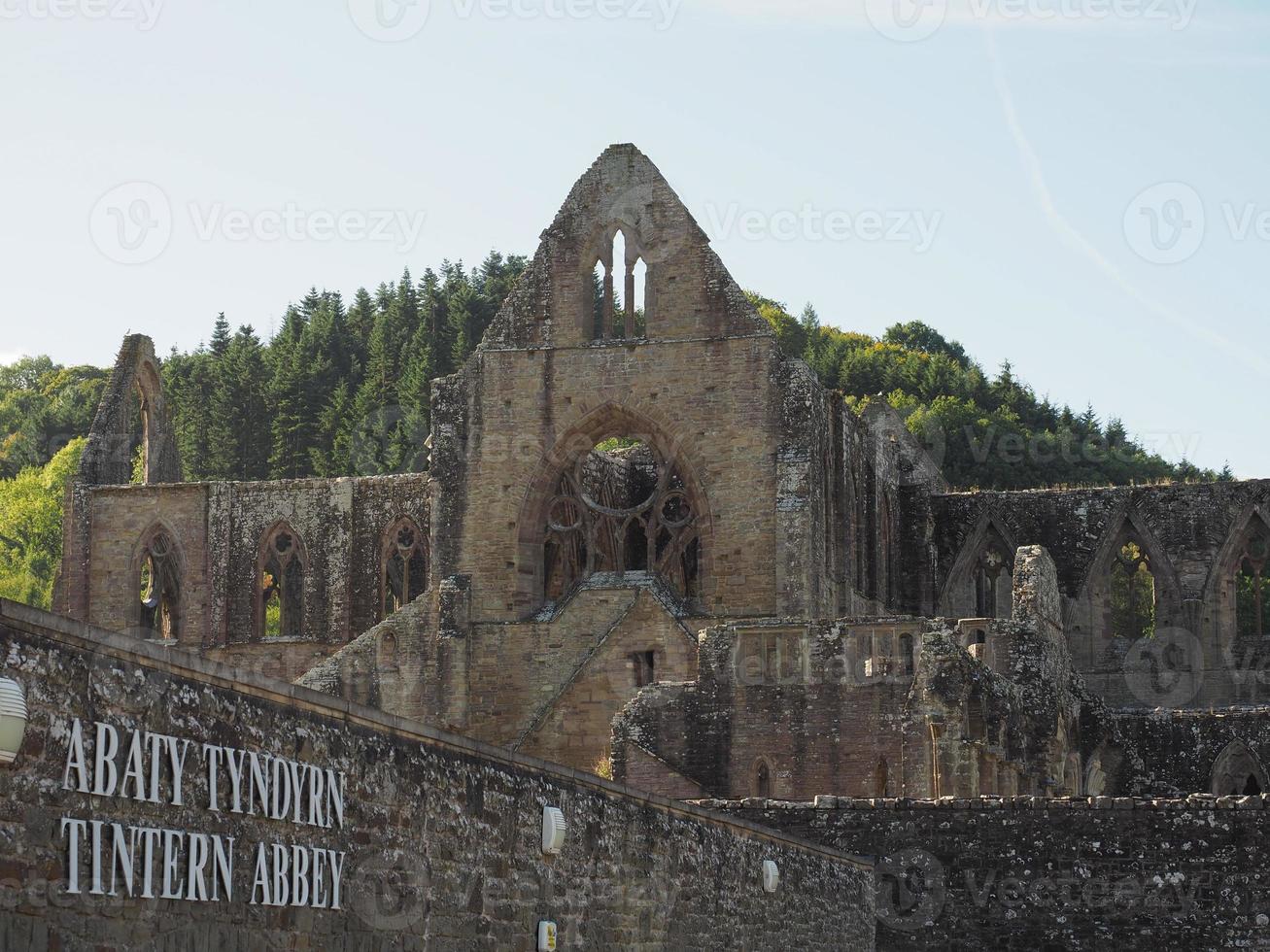 Tintern Abbey Abaty Tyndyrn in Tintern photo