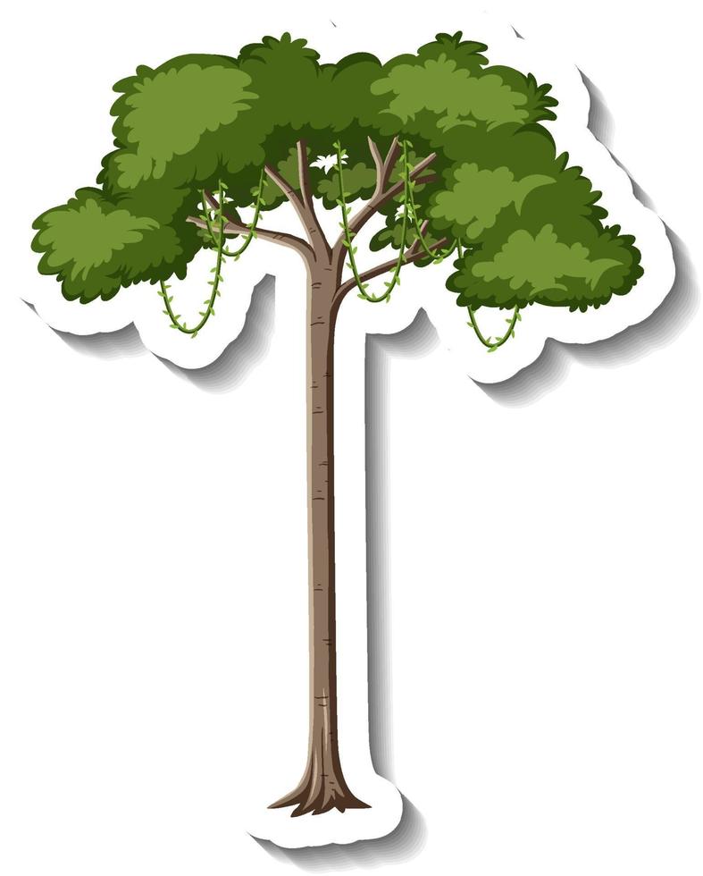 Pegatina árbol de la selva tropical sobre fondo blanco. vector