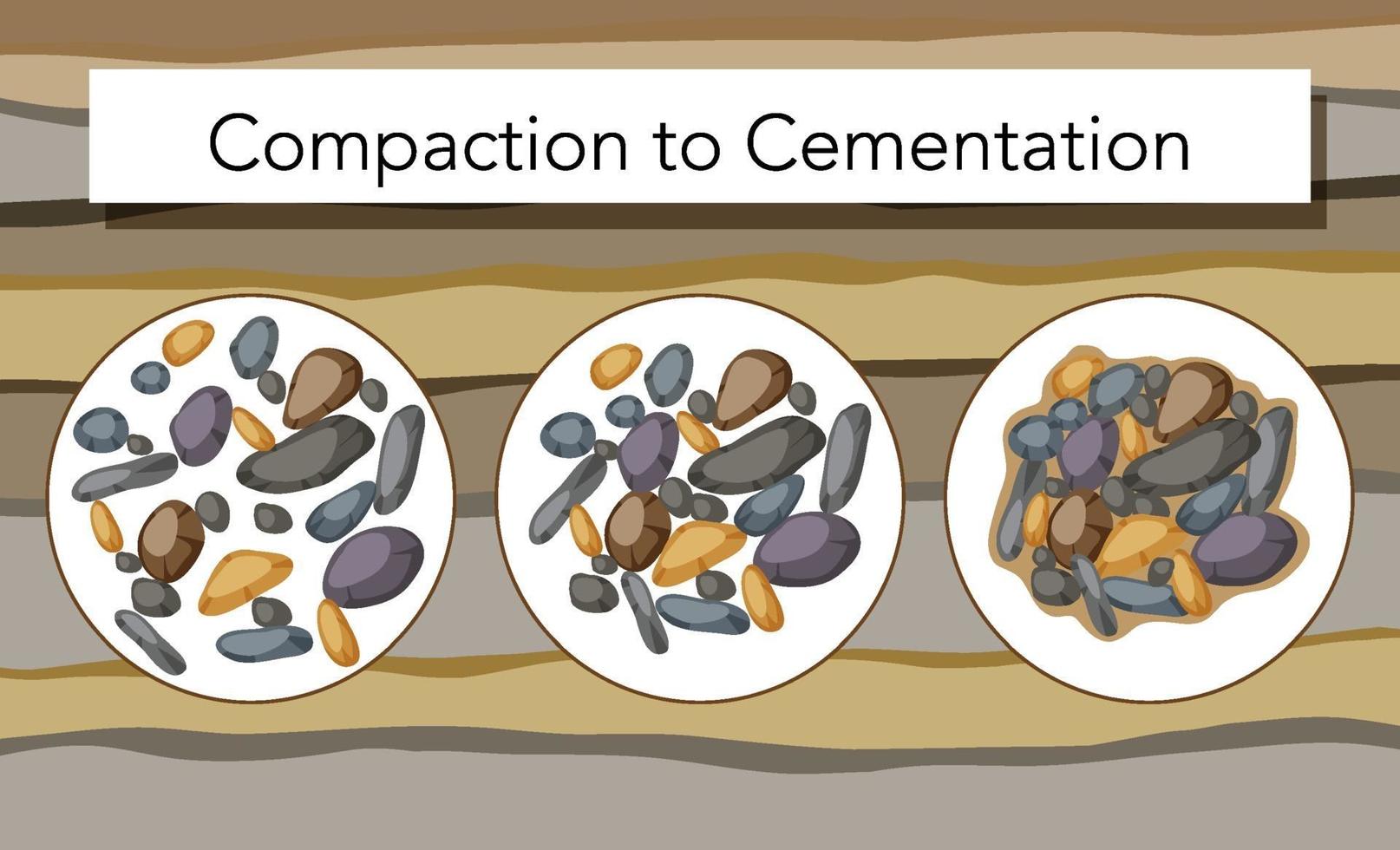 Process of compaction to cementation for education vector