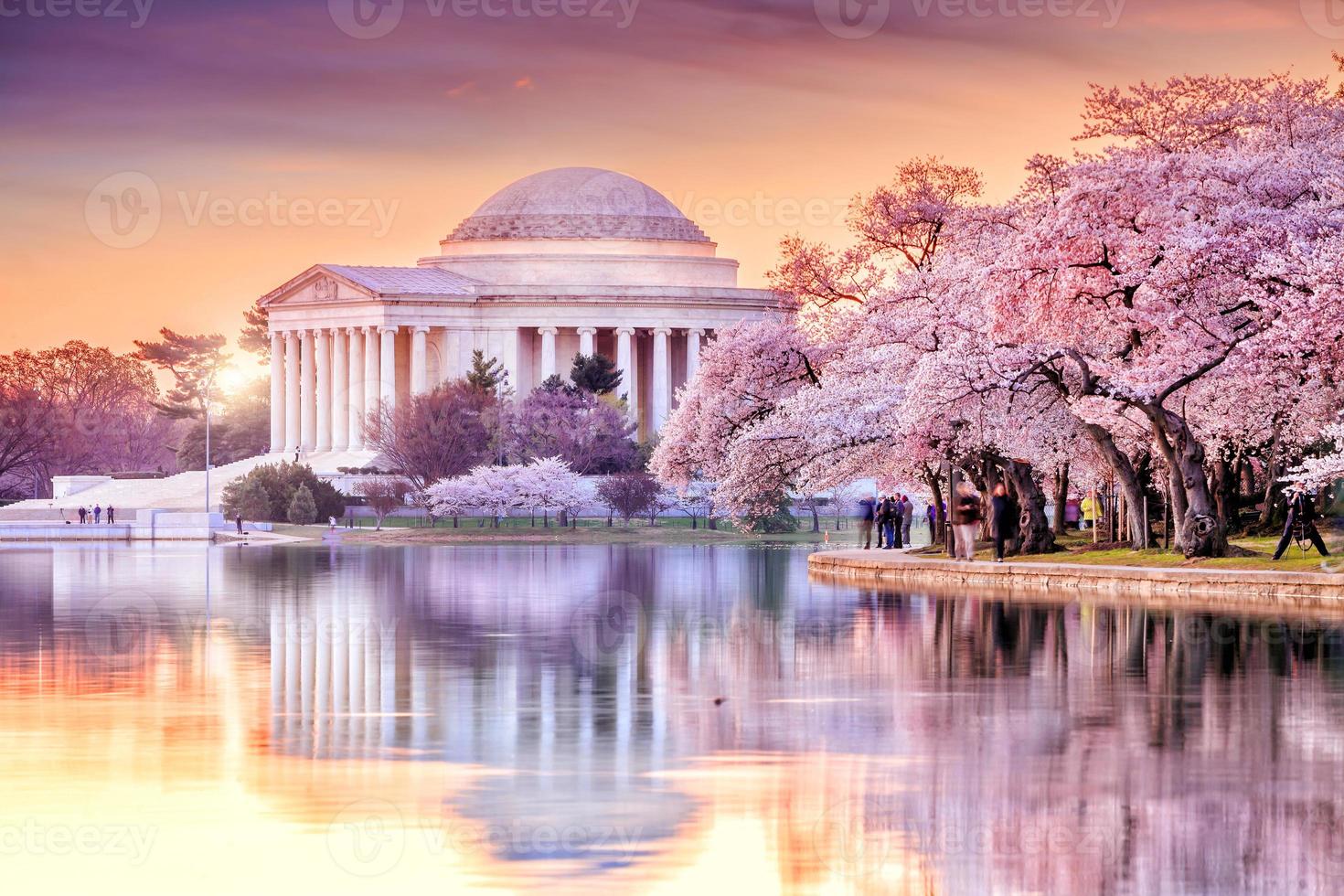 El monumento a Jefferson durante el festival de los cerezos en flor foto
