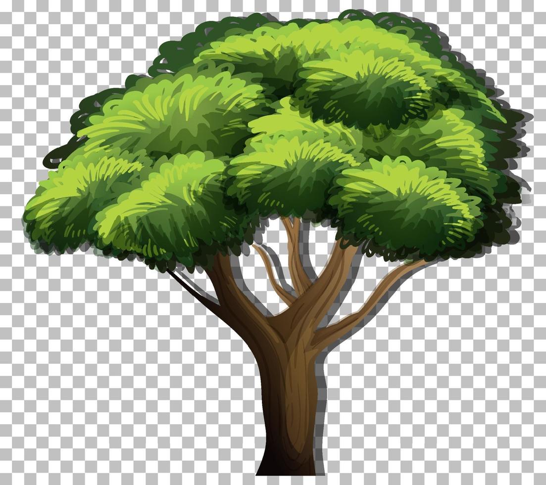 un árbol con hojas verdes vector
