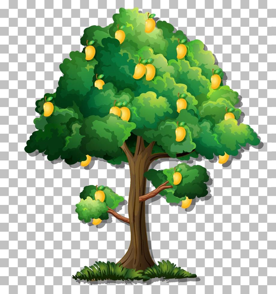 árbol de mango aislado vector