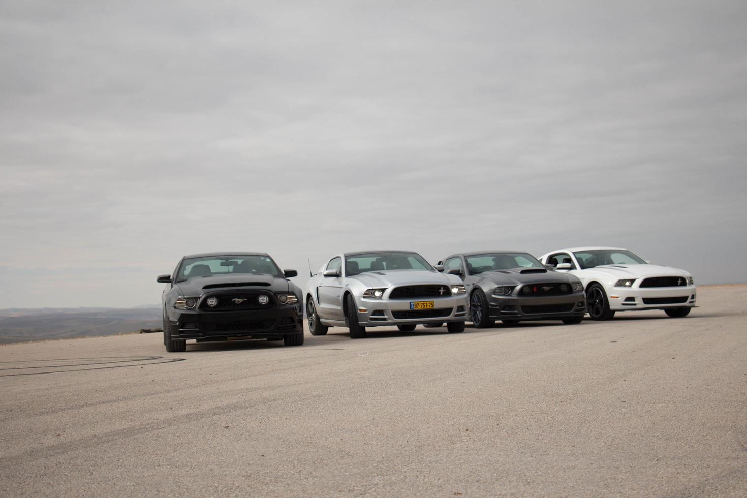 Cars on the race track and on the roads of the desert photo