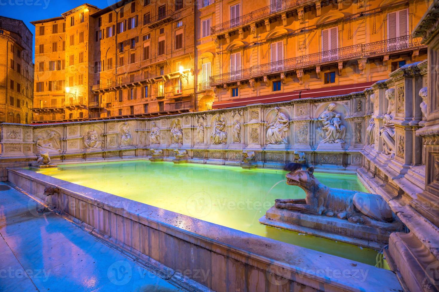 Fonte gaia, Piazza del Campo, in Siena photo