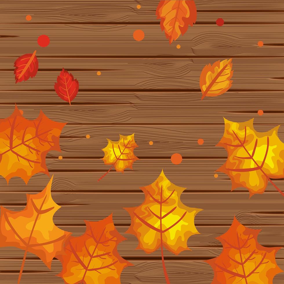 background wooden with autumn leafs vector