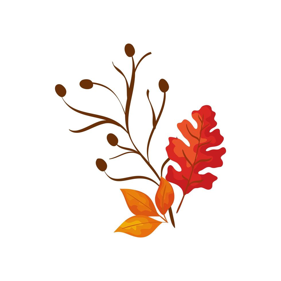 temporada otoño rama con hojas vector