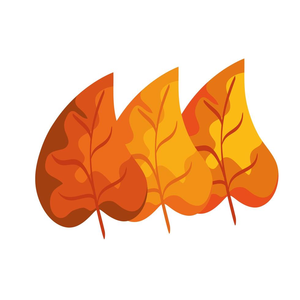 season autumn leafs isolated icon vector