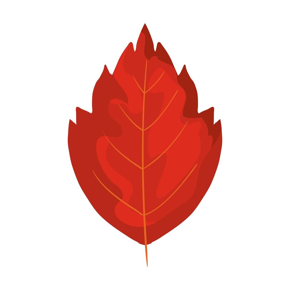 season autumn leaf isolated icon vector