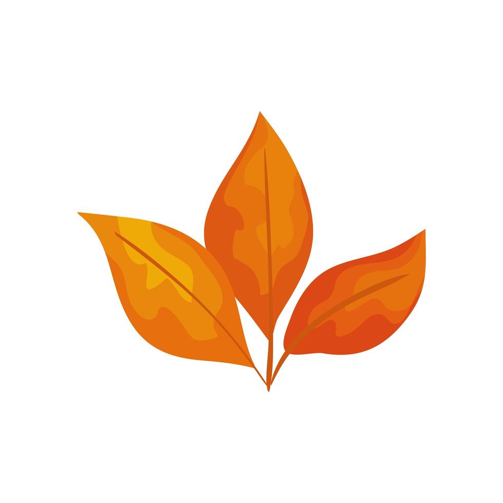 season autumn leafs isolated icon vector