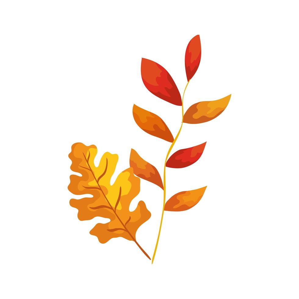 season autumn branch with leafs vector