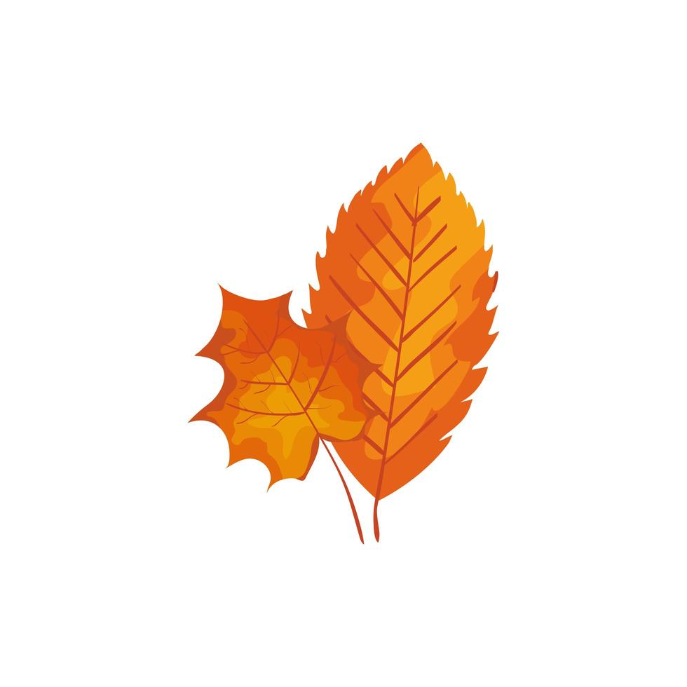 temporada otoño hojas icono aislado vector