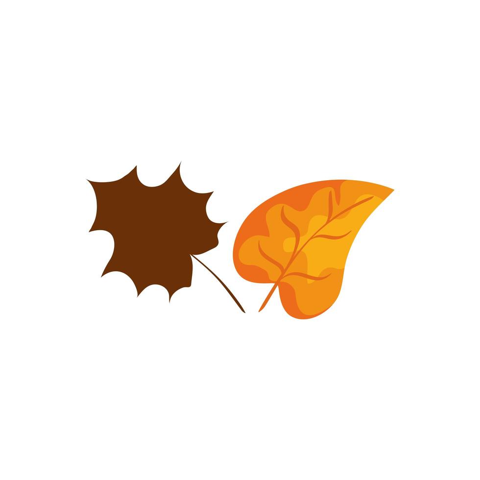 season autumn leafs isolated icon vector