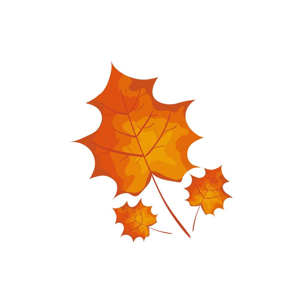 season autumn leafs isolated icon vector