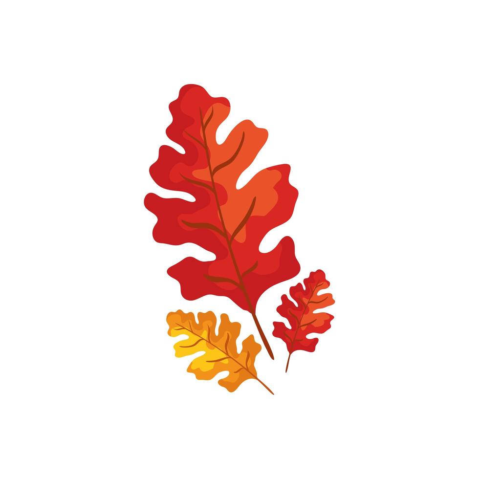 season autumn leafs isolated icon vector