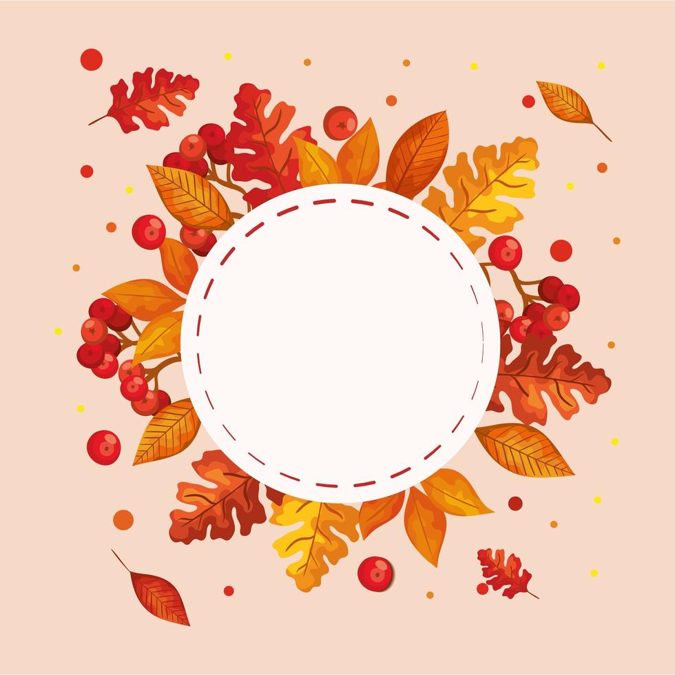 frame with leafs and fruits of autumn vector