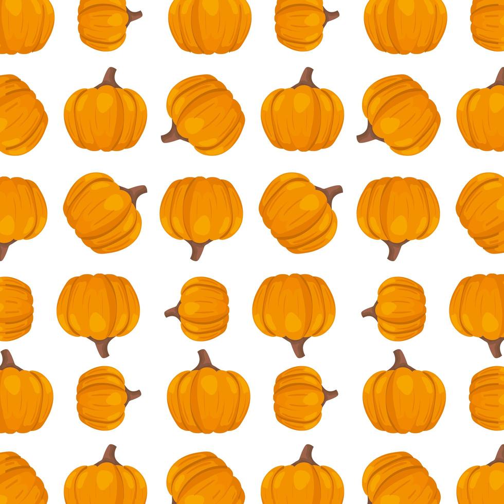 pattern of autumn pumpkins season vector