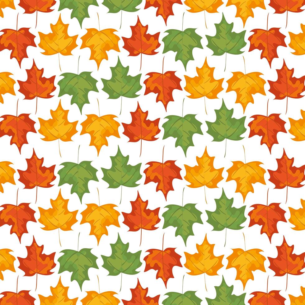 pattern of autumn leafs decoration vector