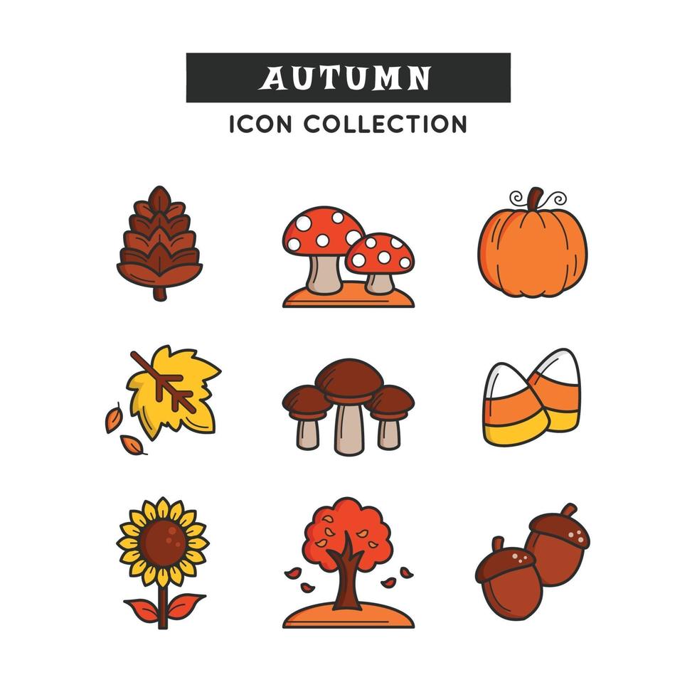 Variety of Plants Nuts and Trees on Autumn vector