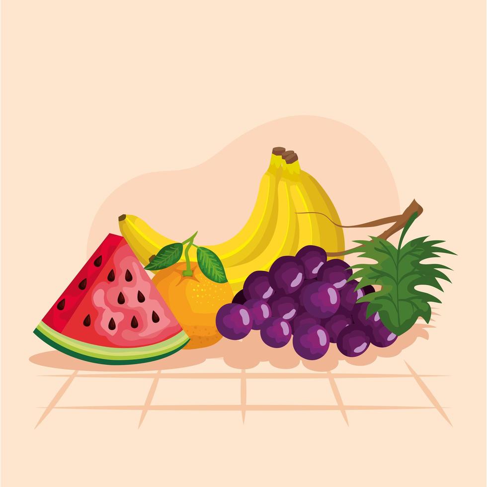 Grapes watermelon orange and banana vector design