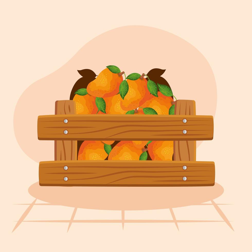 naranjas dentro de diseño de vector de caja de madera