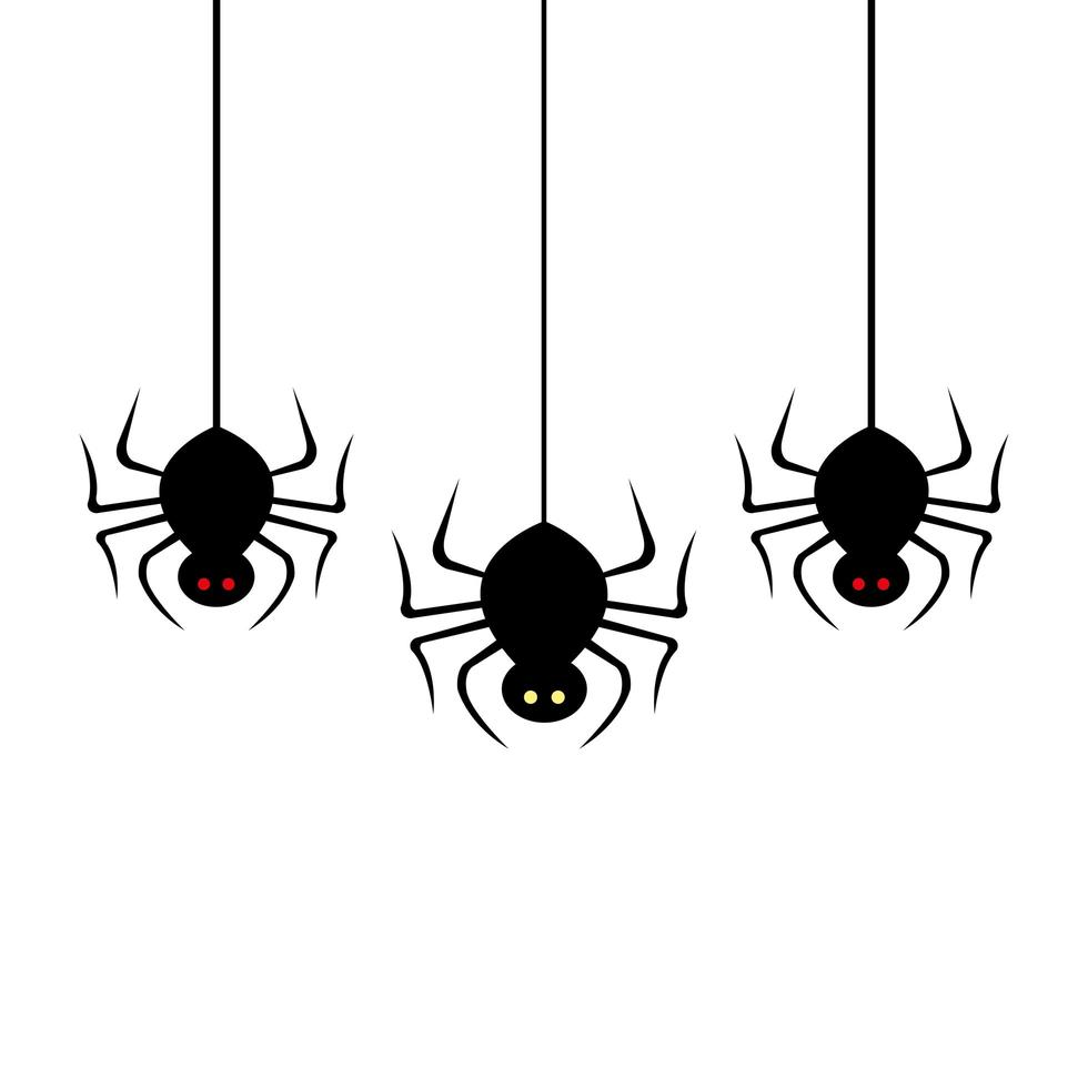 spiders hanging for halloween isolated icon vector