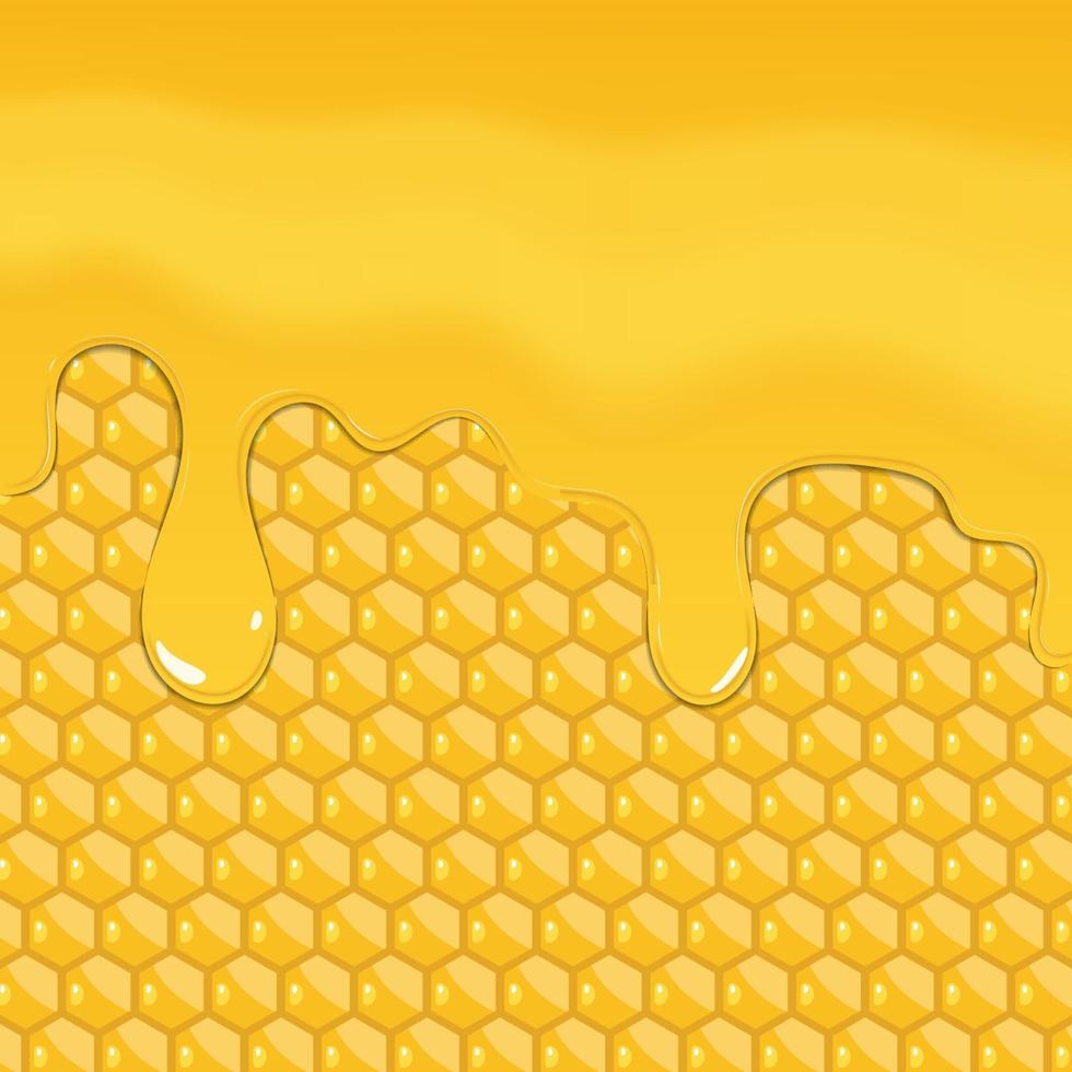 Honey dripping isolated on honey combs, vector illustration