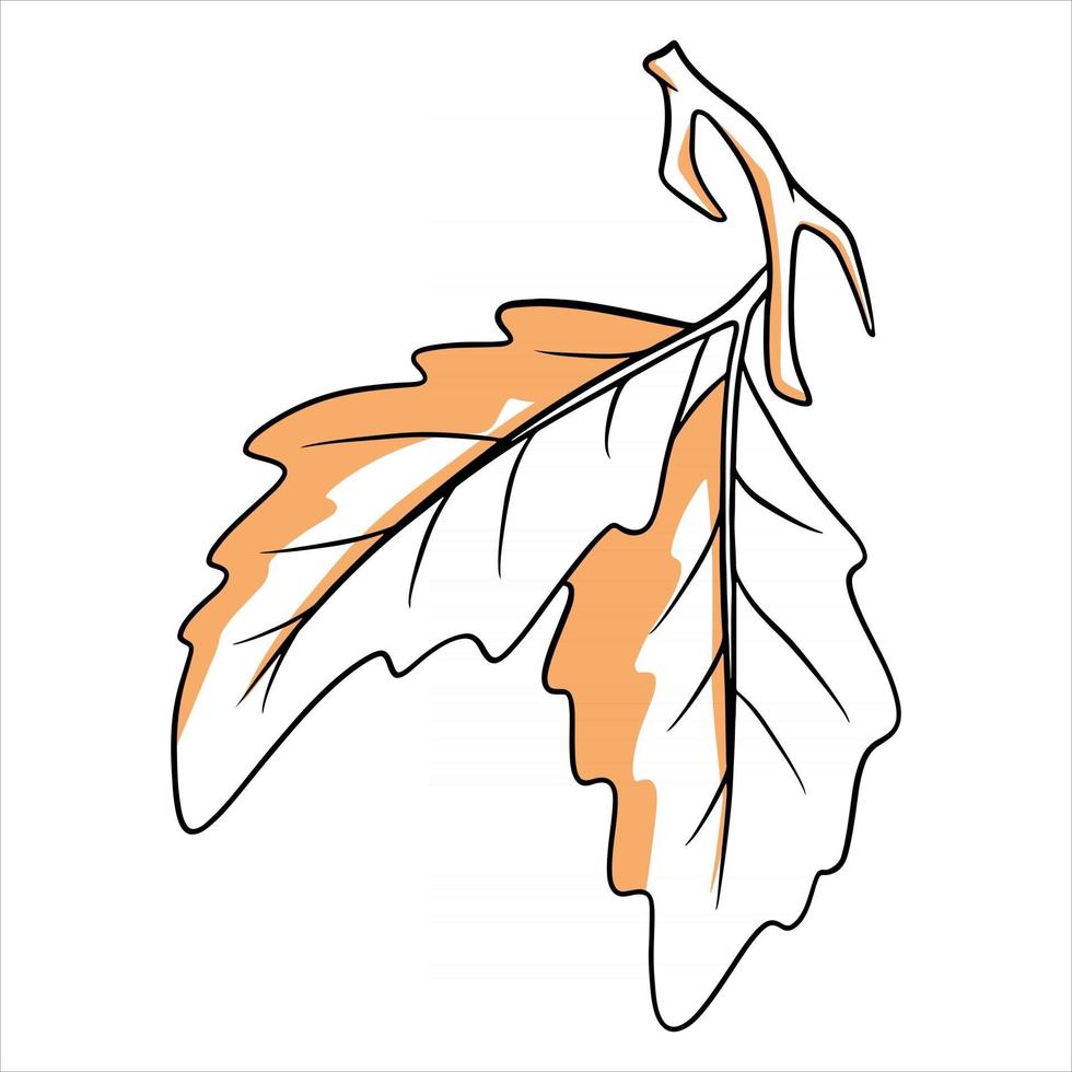 A small twig with two oak leaves. Line style. vector