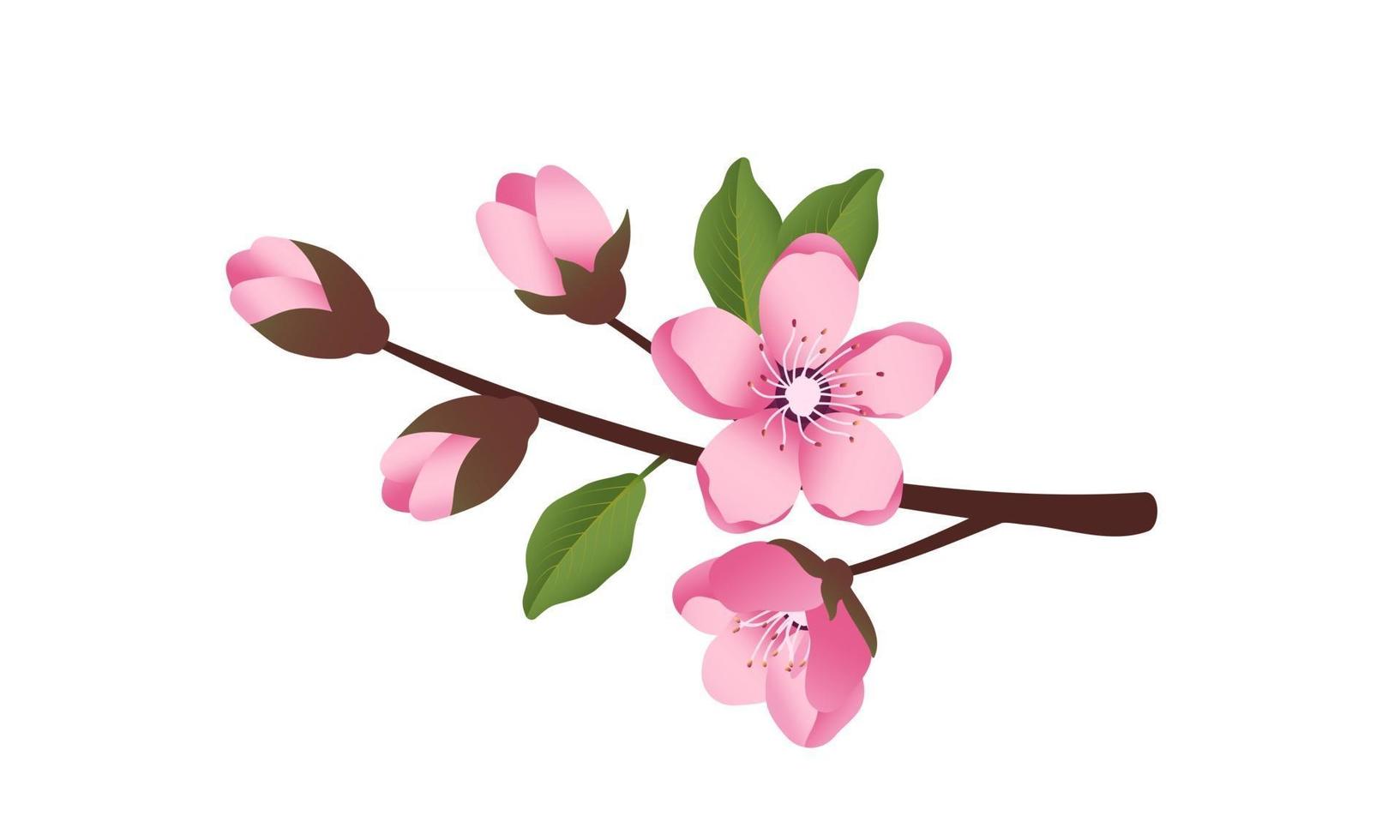 Cute Sakura flowers icon set. The cherry branches have bloomed. vector