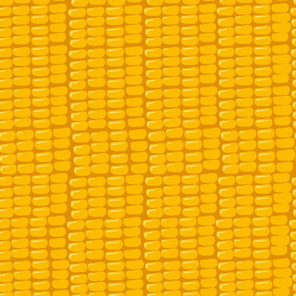 Seamless pattern with grains of corn. texture of seeds vector