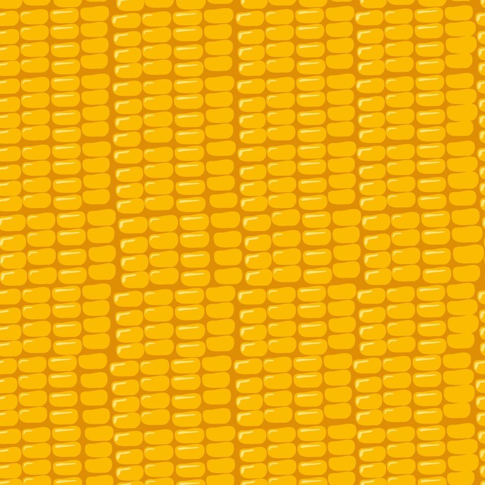 Seamless pattern with grains of corn. texture of seeds vector