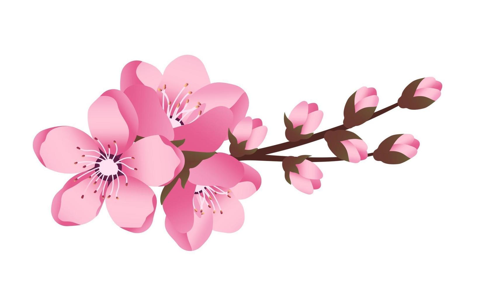 Cute Sakura flowers icon set. The cherry branches have bloomed. vector