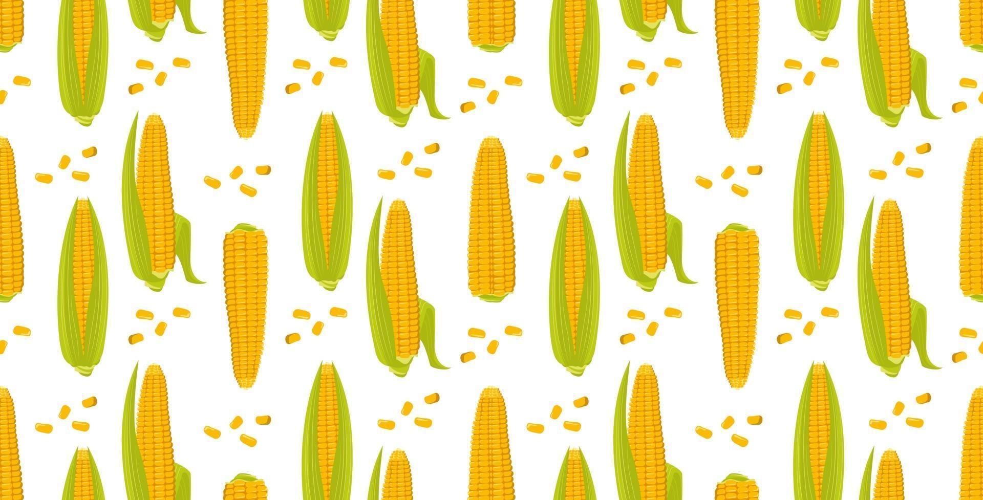 Seamless pattern with ears of corn. harvest print vector