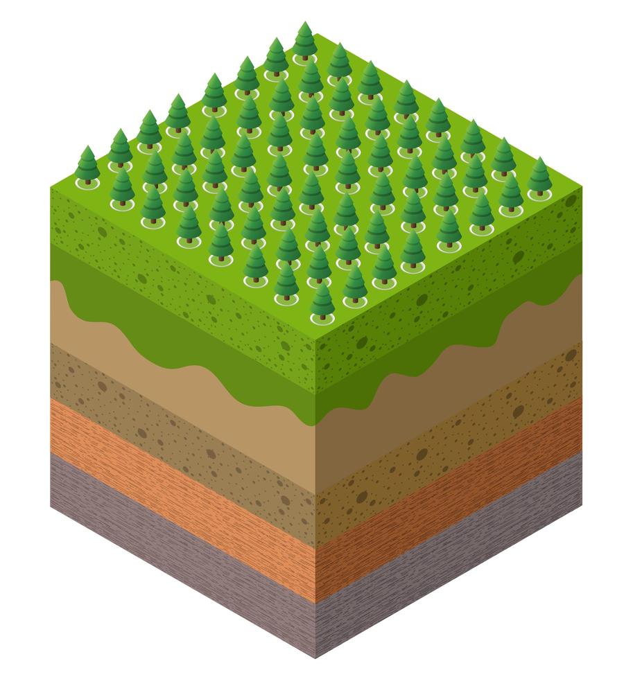 Capas de suelo de granja forestal geológicas y subterráneas vector