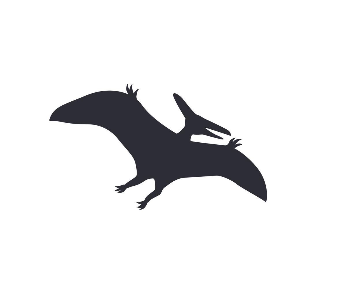 dinosaur, pterodactyl silhouette isolated on white vector